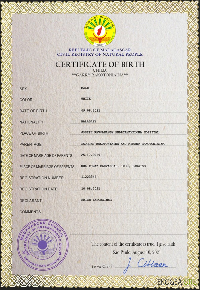 Modèle PSD d'acte de naissance à Madagascar